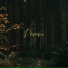 Relajacion, Junicuo00, Mind & Earth