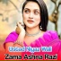 Ustad Niyaz Wali