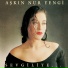 Aşkın Nur Yengi -