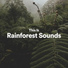 Rainforest Sounds