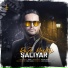 Saliyar