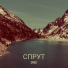 Sprut