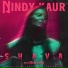 Nindy Kaur, Manj Musik