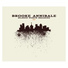 Brooke Annibale