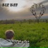KiFF