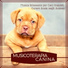 Musicoterapia Animali