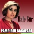 Hale Gür