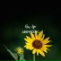 AboveCetic