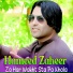 Hameed Zaheer