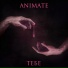 ANIMATE
