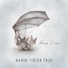 David Tixier Trio, David Linx