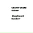 Charef Oueld Saber