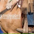 STRONGO13