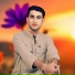 Hassan Shahi