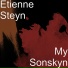 Etienne Steyn