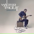 Walter Trout "Blues For The Modern Daze" (2012)