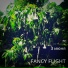 FANCY FLIGHT