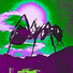 Black Ant