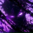 RONVXER, LXST FXREWELL, ONENSX
