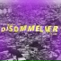 DJ SOMMELIER O DEGUSTADOR DE XRC