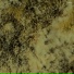 Simplex Sensus