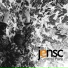 Jensc