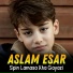 Aslam Esar