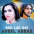 Adeel Abbas