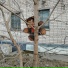 vladykin, tmch