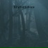 Hybridus