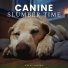 Calm Dog Music
