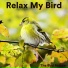 The Bird Relaxer