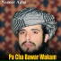 Nazeer Agha