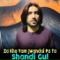 Shandi Gul