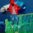 MC Question