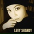 Levy Shandy