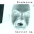 Bradezone