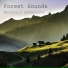 Forest Sounds