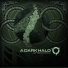 A Dark Halo