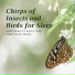 Sleep Music Dream