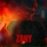 Zahy