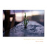 네이쳐콜링 Nature Calling