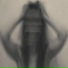 DSTBL