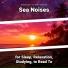 Sea Waves Sounds, Ocean Sounds, Nature Sounds