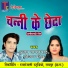 Ajay Gayakwad, Teejan Patel