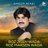 Ameer Niazi