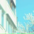 Florui Flos
