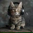 Gentle Experience, Calm Music Ensemble, Elivvia