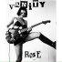 Vanity Rose
