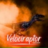 Exciterdance